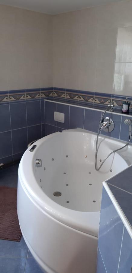 Apartma Reich Appartamento Ptuj Esterno foto